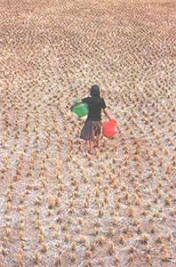 Girl in desert soil