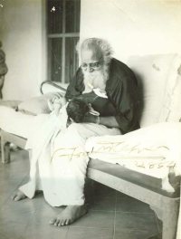 அரசாங்கத்தை காங்கிரசுக்காரர்கள் ஏமாற்றி விட்டார்களாம்