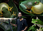 renjith and frog