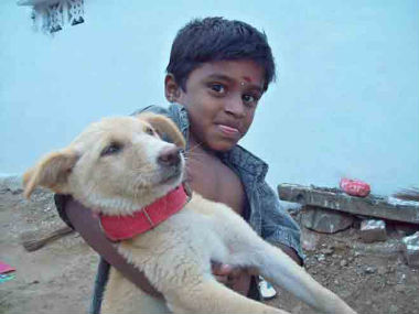 child_with_dog_380