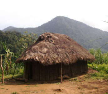 indian hut
