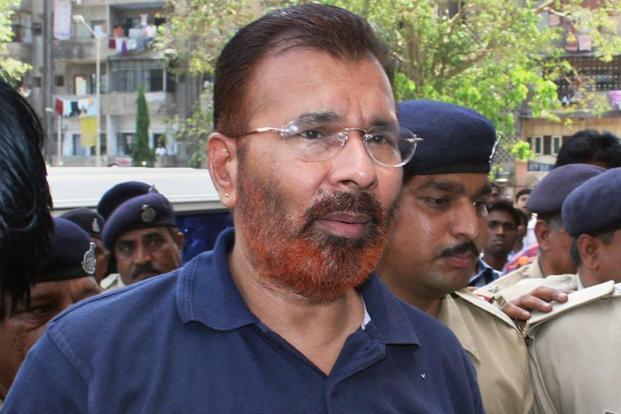 dg vanzara