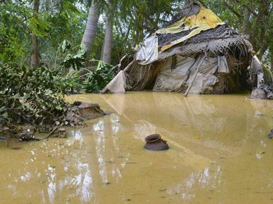 cuddalore flood