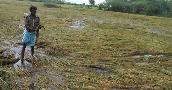 cuddalore flood