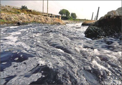 palar river pollution