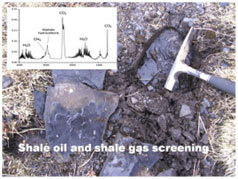 shale gas screening