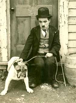 Chaplin