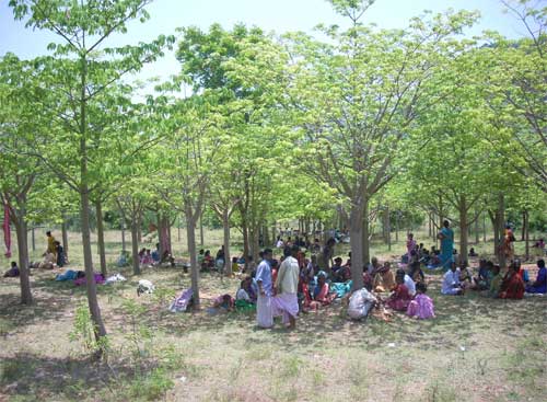 Uthapuram_Pillais_at_Dalit's Fields