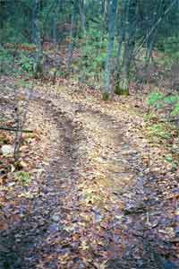 single path