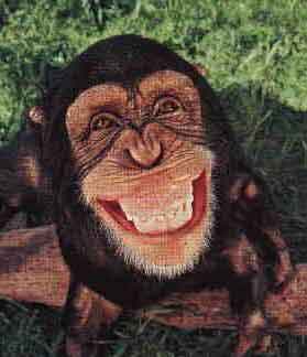 Monkey smile