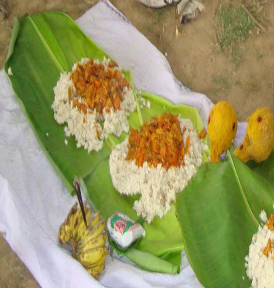 pataiyal 400
