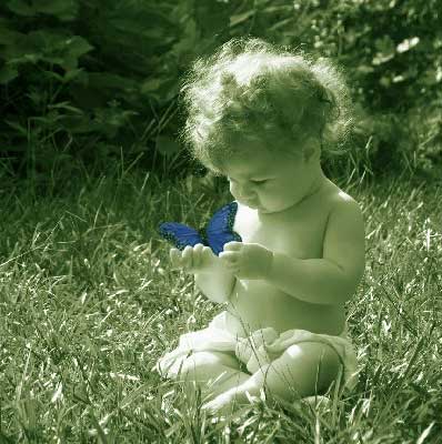 Baby and Butterfly