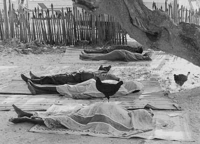 Eelam dead bodies