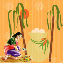 Pongal festival