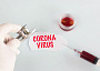 corona virus