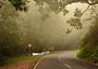 valparai forests