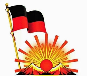 DMK flag