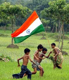 indian flag 230