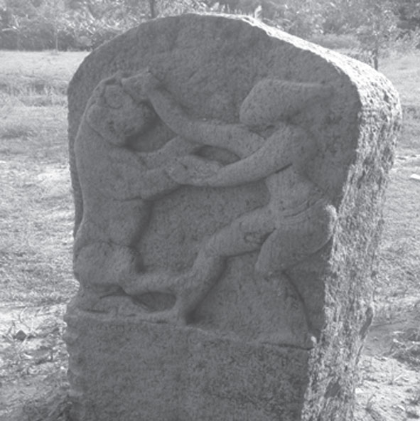 tiger nadukal
