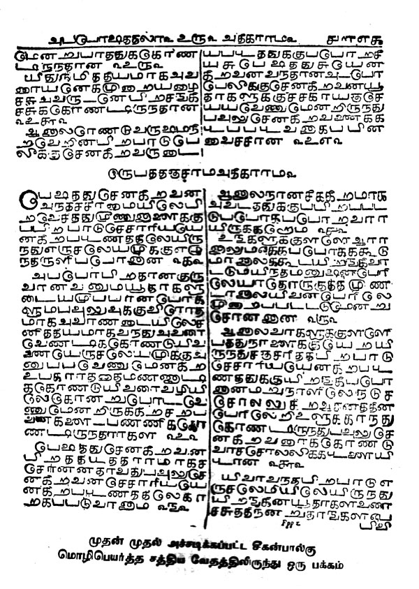 ziegenbalg print