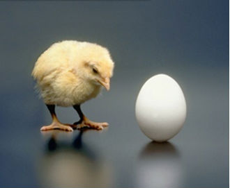 egg