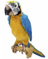 Parrot