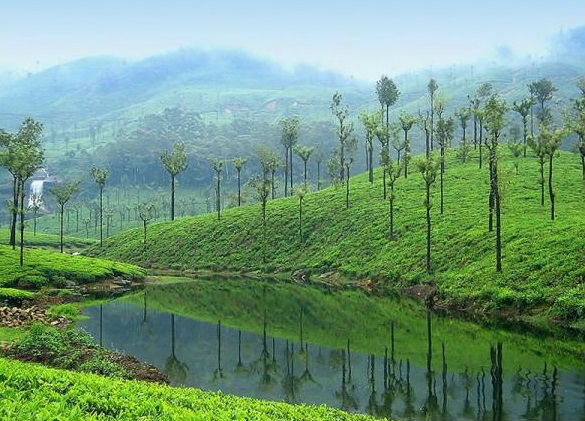 valparai location