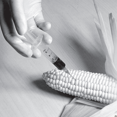 genetic-seeds