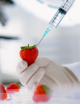 genetically modified fruit 350