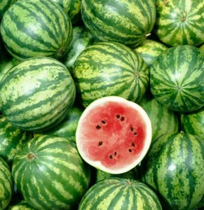 watermelon