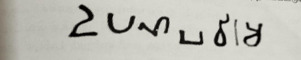 tamil inscription 19