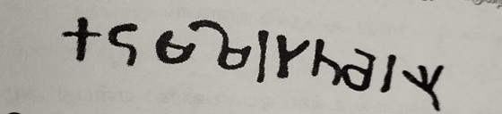 tamil inscription 20