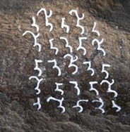 tamil inscription 3