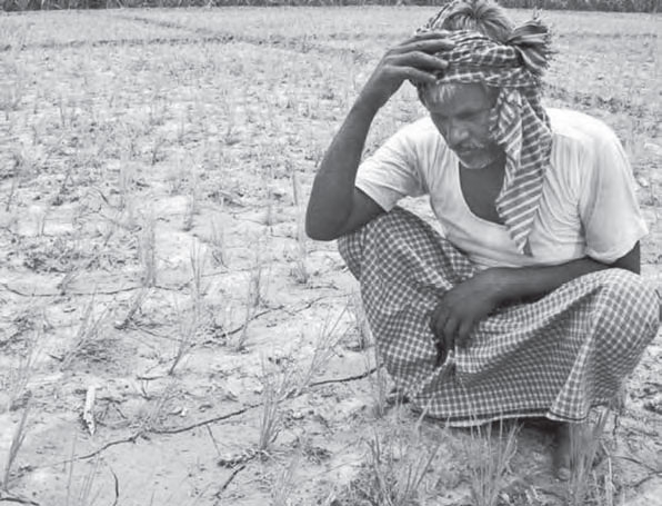 farmer dry land