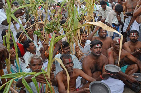 farmers 600
