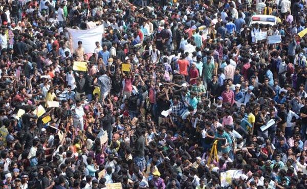 jallikattu marina beach protest