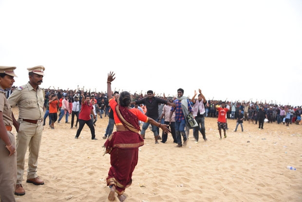 jallikattu protest old lady