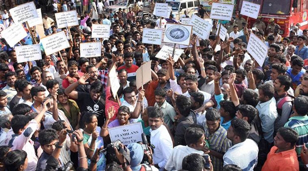jallikattu protest