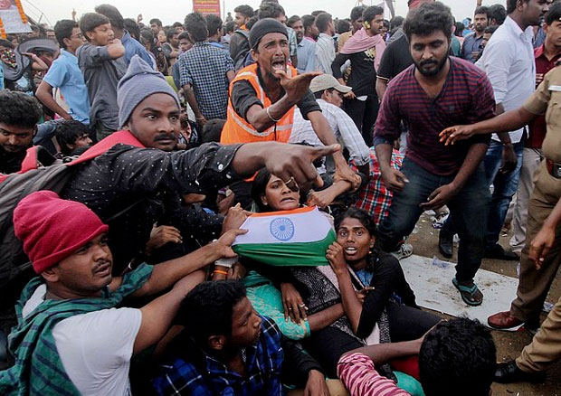 jallikattu protestors