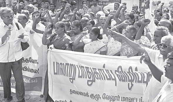 palaru agitation