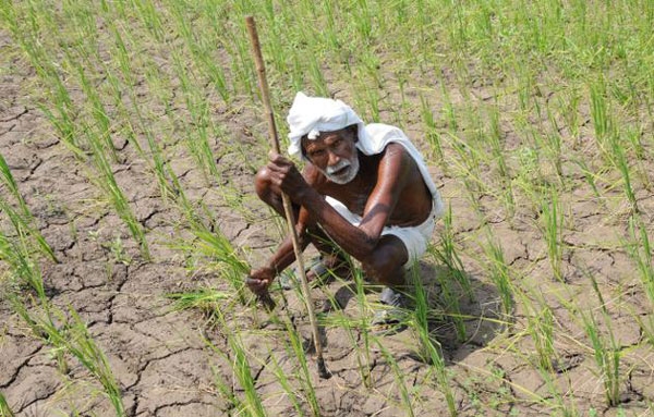 tamilnadu drought