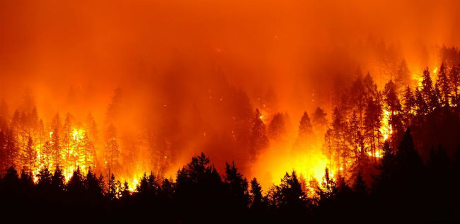 amazon rainforest fire 2