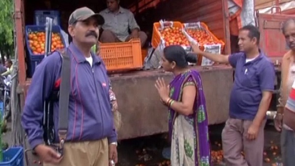 armed protection for tomatoes