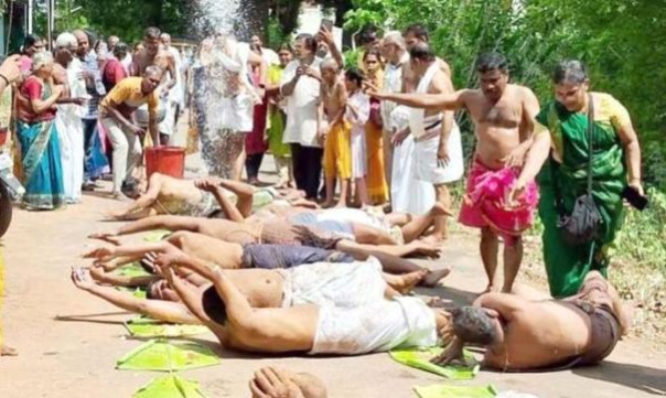 brahmins leaf