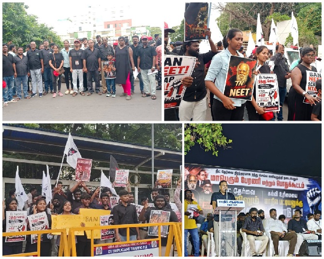 dvk against neet