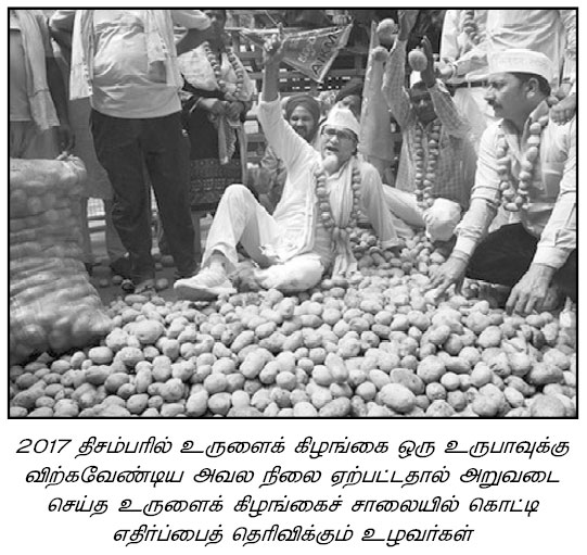 potato farmers