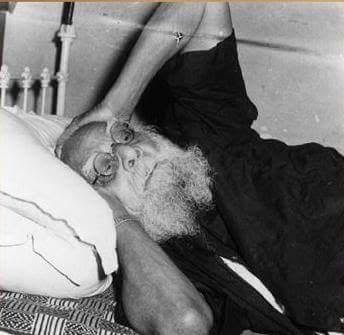 periyar sleeping