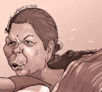 nirmala sitaraman 336