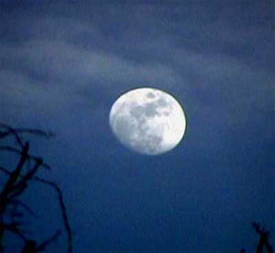 moon 400