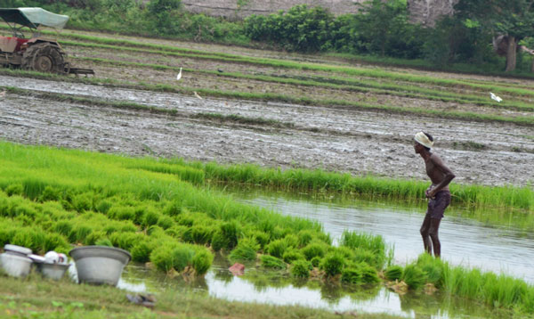farmers